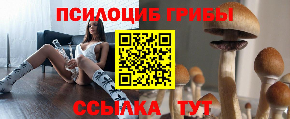 Рославль  купить наркоту  Вход с VPN  Псилоцибиновые грибы MAGIC MUSHROOMS  Галлюциногенные грибы Psilocybe 
